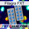 Filagra FXT 23